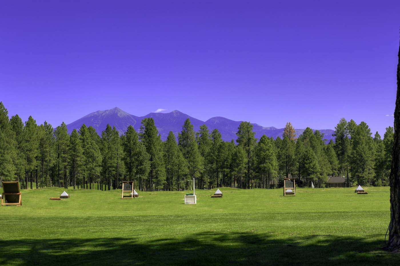 Forest Highlands, Forest Highlands Homes, Forest Highlands Real Estate
