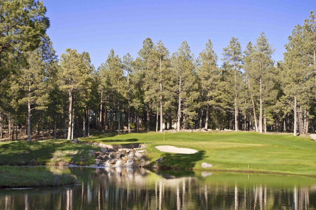 Forest Highlands, Forest Highlands Homes, Forest Highlands Real Estate